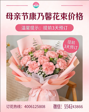 连云港灌云县花店母亲节康乃馨花束