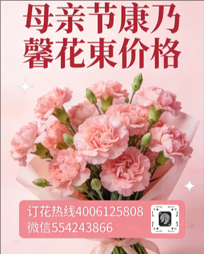 连云港灌云县花店母亲节康乃馨花束